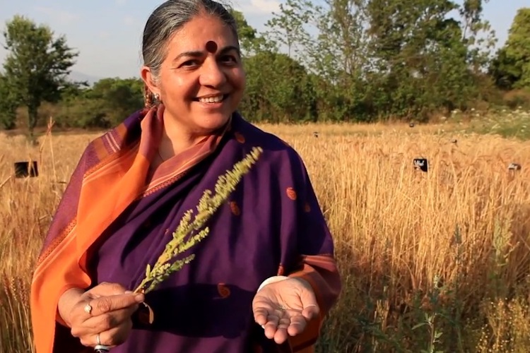 Supporting people with solutions